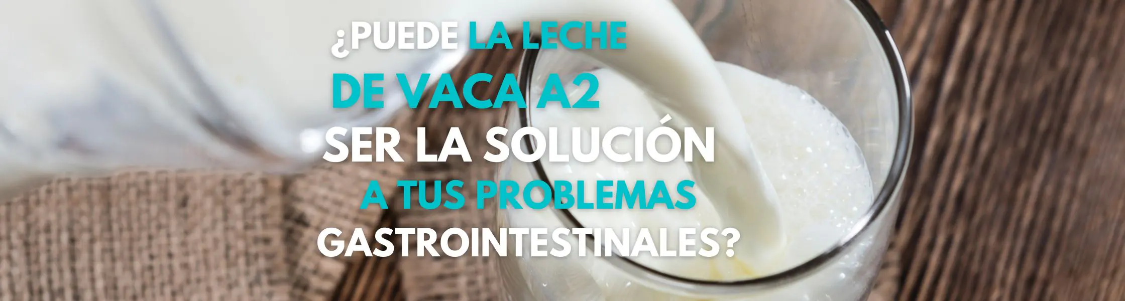 ¿Puede la leche A2 de vaca ser la solución a tus molestias gastrointestinales?